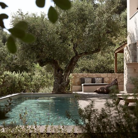 Zayn Luxury Villas, A Serene Escape, By Thinkvilla Ciliví Kültér fotó